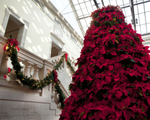 The Christmas Poinsettia Tree in Huber Court, 2017.