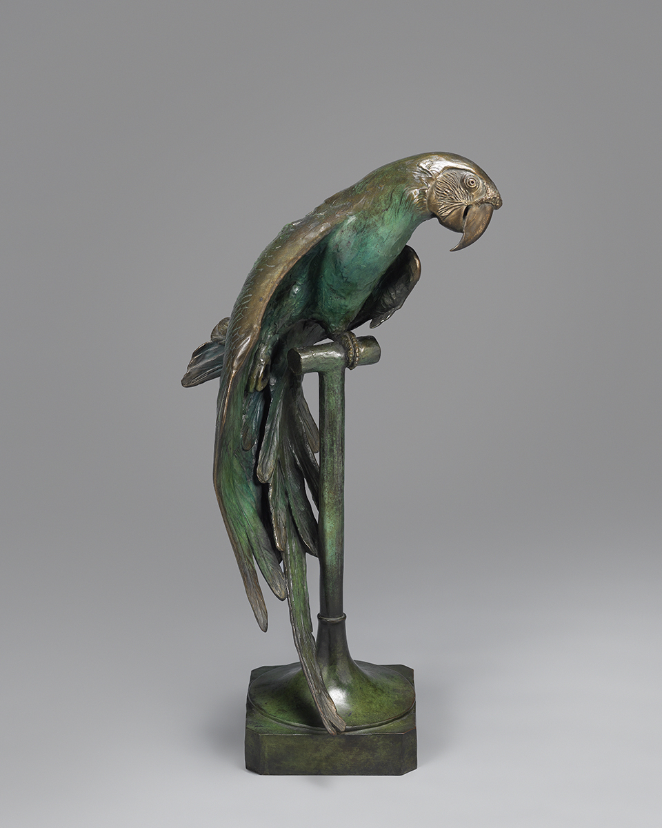 Bronze Macaw Sculpture