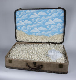 3D print and air-dry clay and acrylic varnish in vintage suitcase.
