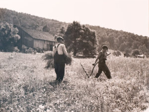Dorothea Lange, Men Cradling Wheat