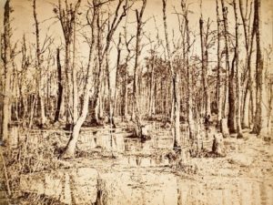 Mathew Brady Studio White Oak Swamp, General McClellan's Line of Retreat, Seven Days Battles