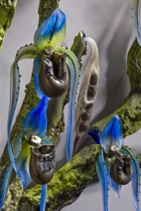 Blue Orchid Tree Debora Moore
