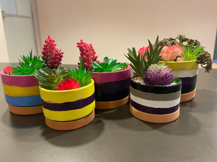 Succulents planted in pots painted with various pride flags